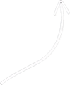 Arrow pointing to toggle